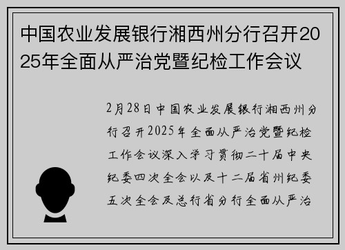 中国农业发展银行湘西州分行召开2025年全面从严治党暨纪检工作会议