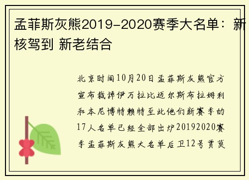 孟菲斯灰熊2019-2020赛季大名单:新核驾到 新老结合