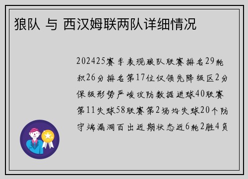 狼队 与 西汉姆联两队详细情况
