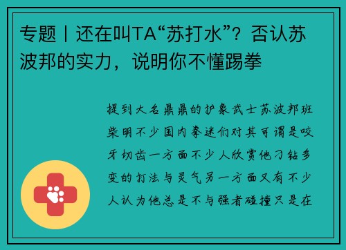 专题丨还在叫TA“苏打水”？否认苏波邦的实力，说明你不懂踢拳